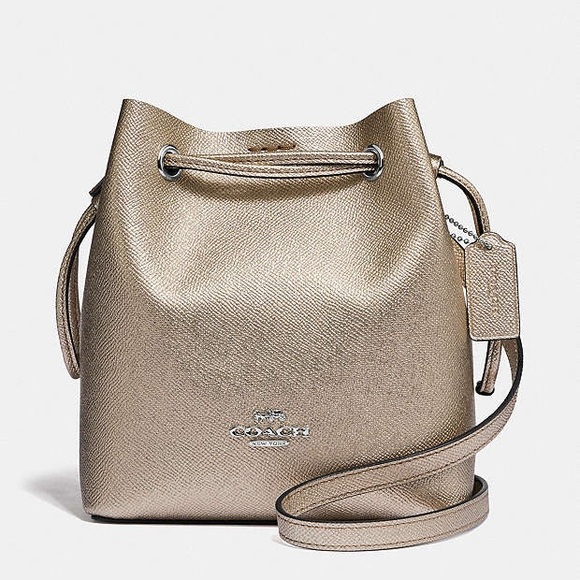 Brand New Coach Metallic Gold Lena Crossbody Metallic Bag and Silver Hardware - Picture 1 of 11